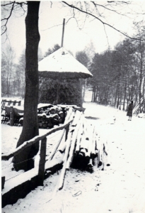 F61 Winter in de Heegerhoek, 1966